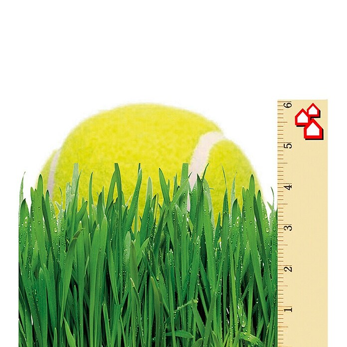 Césped artificial Bermudas (5 x 2 m, Altura del pelo: 47 mm, 14.175 puntadas/m²)