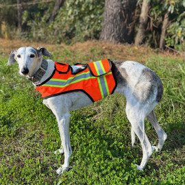 Chaleco Fluorescente Para Perros Máxima Visibilidad