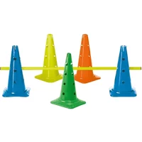 Cono 40 cm - 12 agujeros - con muesca Tremblay