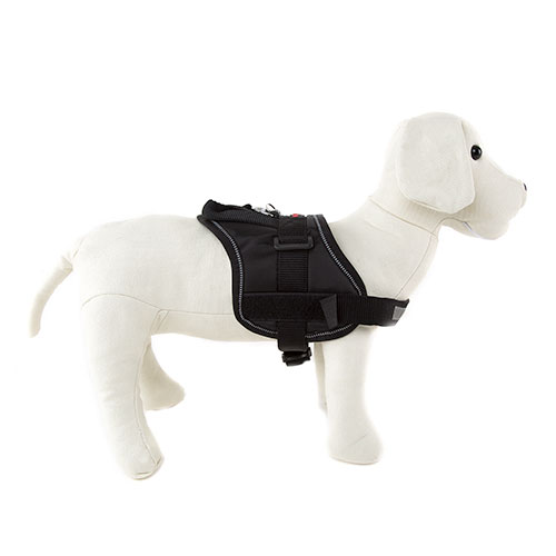 Flamingo Arnés acolchado Negro para perro