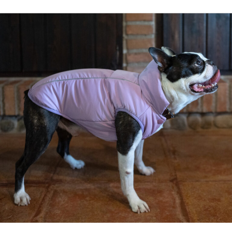 Freedog Abrigo Impermeable Winterhug Morado para perrro