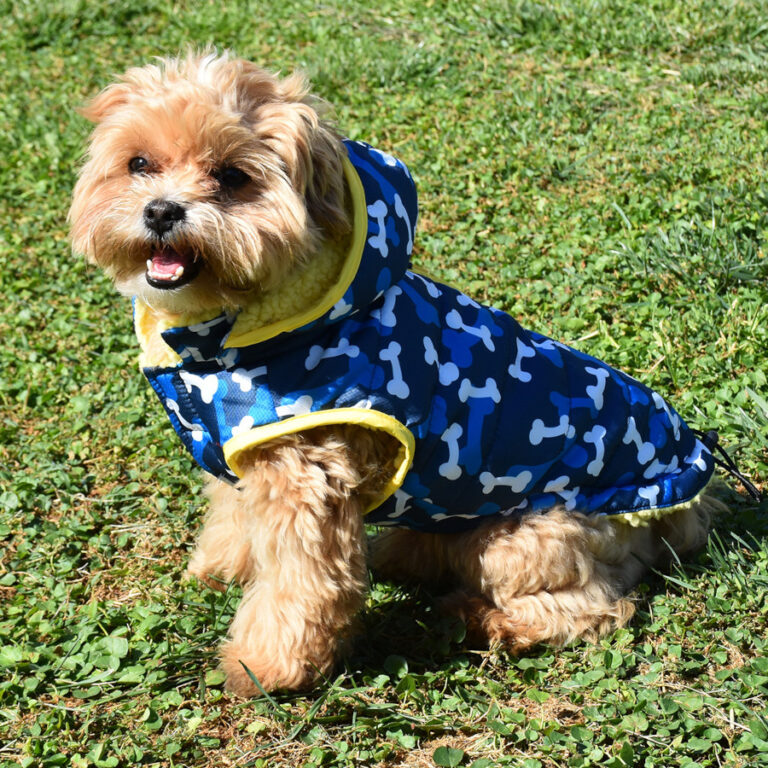 Nayeco Abrigo Acolchado Paws Print Azul para perro