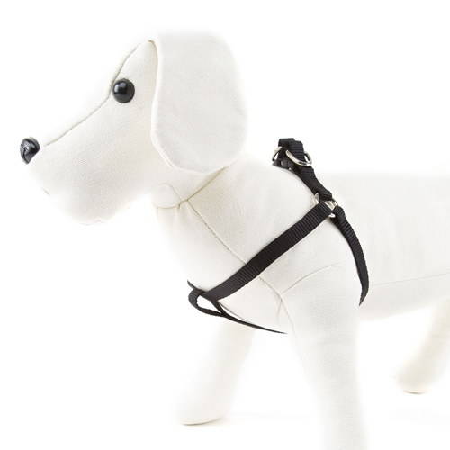 Nayeco Basic Arnés Negro para perro