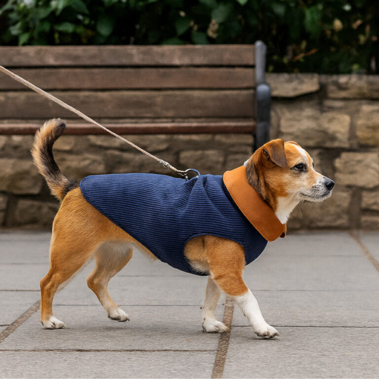 Outech Abrigo Estilo Aviador Rosa y Azul para perro