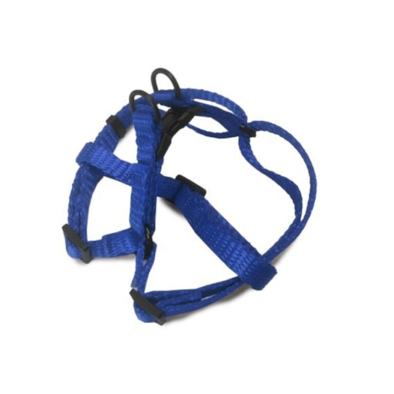 Outech Arnés azul para perro