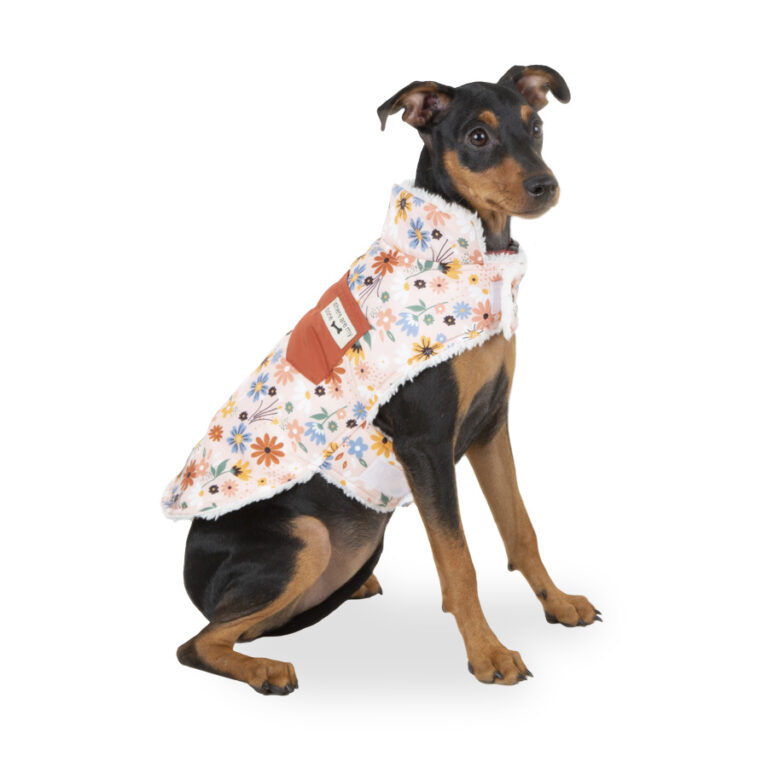 Outech Spring abrigo de flores para perro