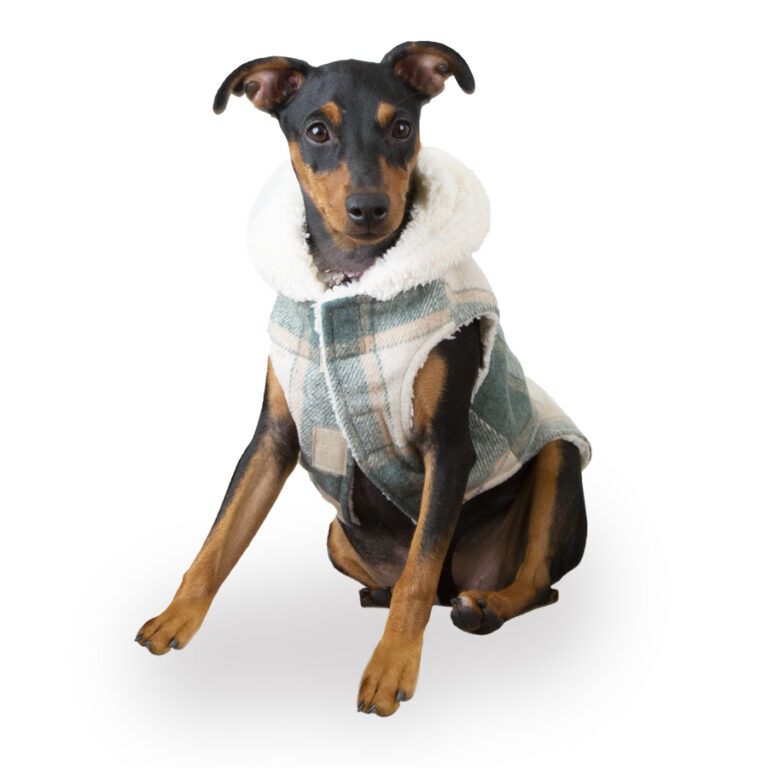 Outech Trenca Azul para perro