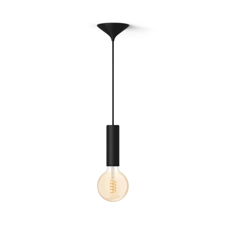 Philips Hue Philips Pack: Cable Negro Para Bombilla De Filamento (m) + Bombilla De Filamento G125 (globo), Color Blanco Cálido A Frío