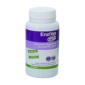 Stangest Enzivet Suplemento Digestivo 60 cpd