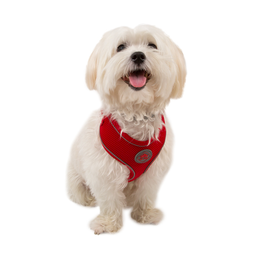 TK-Pet Soft Arnés Reflectante Rojo para perro