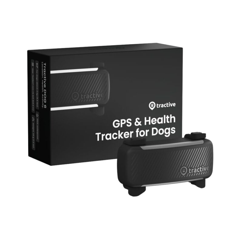 Tractive GPS Dog 6 Negro Rastreador para perro