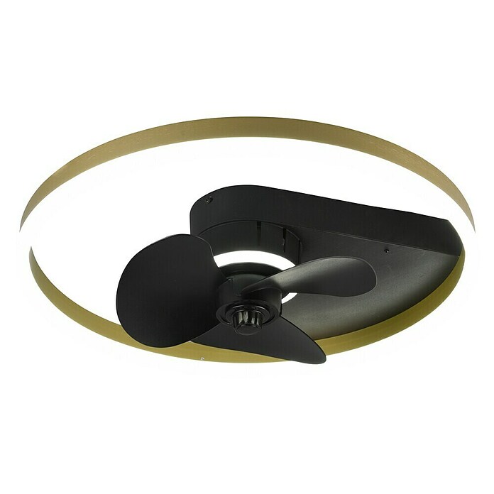 Trio Lighting Ventilador de techo Borgholm (Negro, 50 cm, 30 W, Blanco cálido) + Garantía BAUHAUS 5 años para equipos eléctricos y motorizado