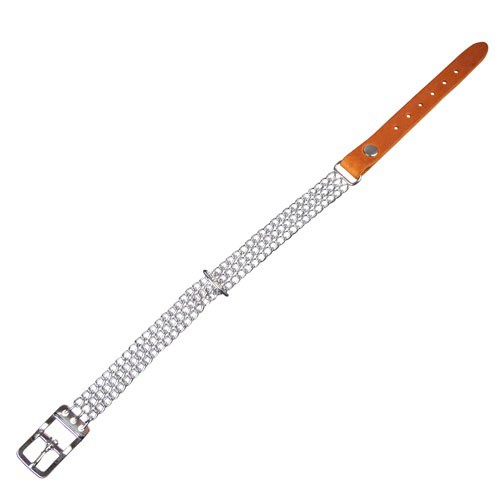 Wondermals Arlon Collar de Cuero y Metal para perro
