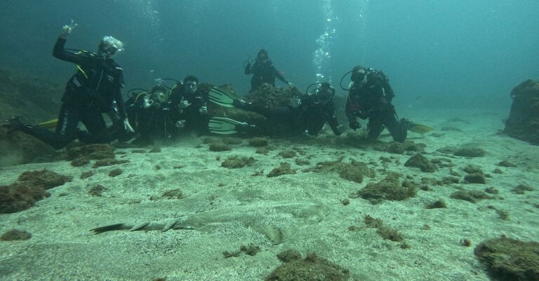 Dsdivers Gran Canaria Submarinismo
