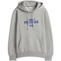 Tommy Hilfiger Sudadera con capucha - Hoodie gris claro