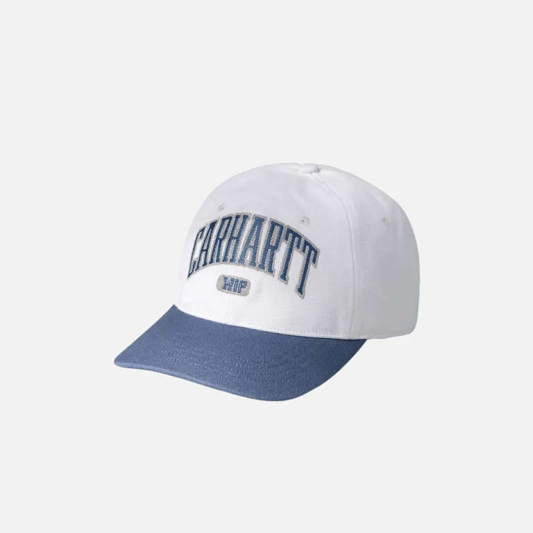 carhartt w.i.p. lecture cap i034743.2xe.xx /t