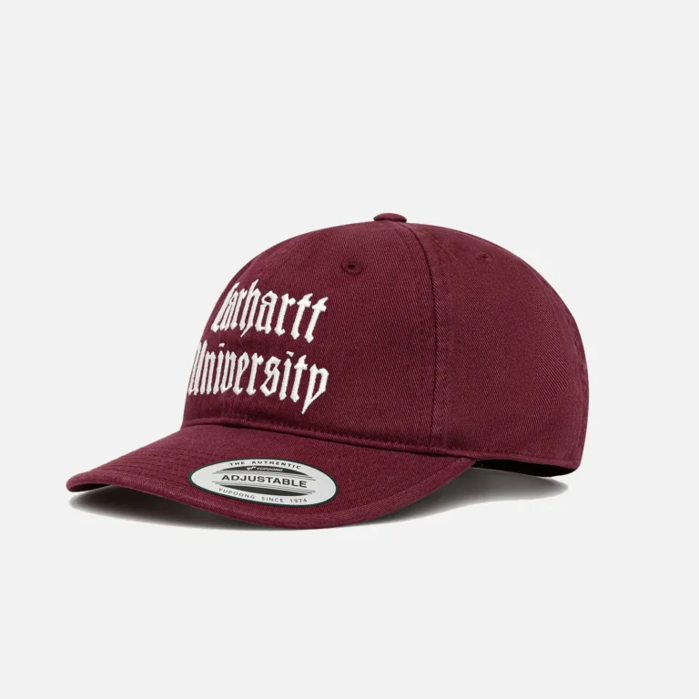 carhartt w.i.p. schooling cap i035629.3dv.xx /t