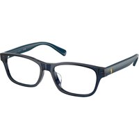 Polo Ralph Lauren Hombre Polo Ralph Lauren 5465 Monturas ópticas Acetato Azul Transparente Pillow Norma