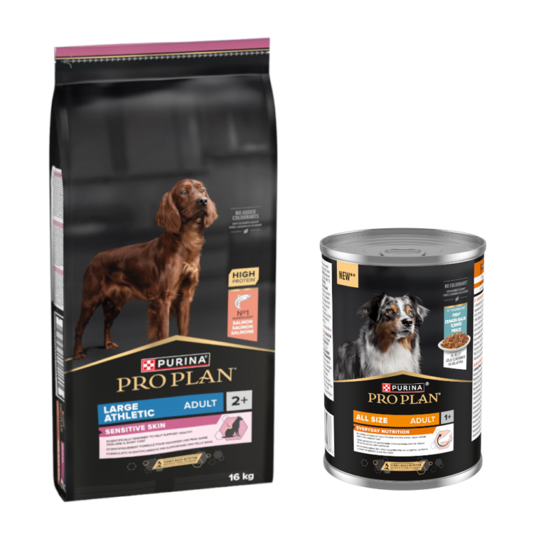 PURINA PRO PLAN 16 kg + All Size Everyday Nutrition 12 x 400 g ¡gratis! - Large Athletic Adult Sensitive Skin salmón + Pescado en gelatina