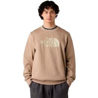 Sudadera The north Face Drew Peak Regular Crew Mushroom Hombre Beige