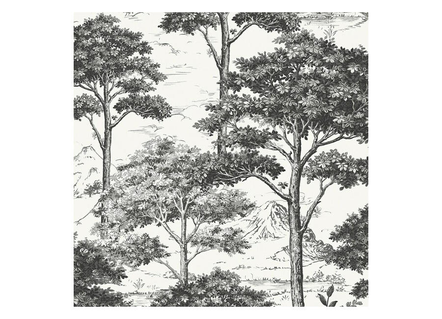 Papel pintado Arboles B&N (Blanco/Negro, 10 x 0,53 m)