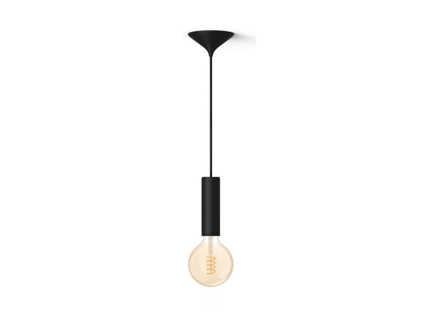 Philips Hue Philips Pack: Cable Negro Para Bombilla De Filamento (m) + Bombilla De Filamento G125 (globo), Color Blanco Cálido A Frío