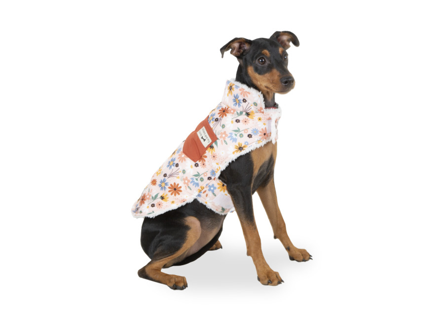 Outech Spring abrigo de flores para perro