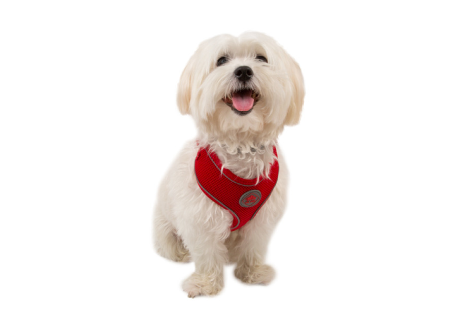 TK-Pet Soft Arnés Reflectante Rojo para perro