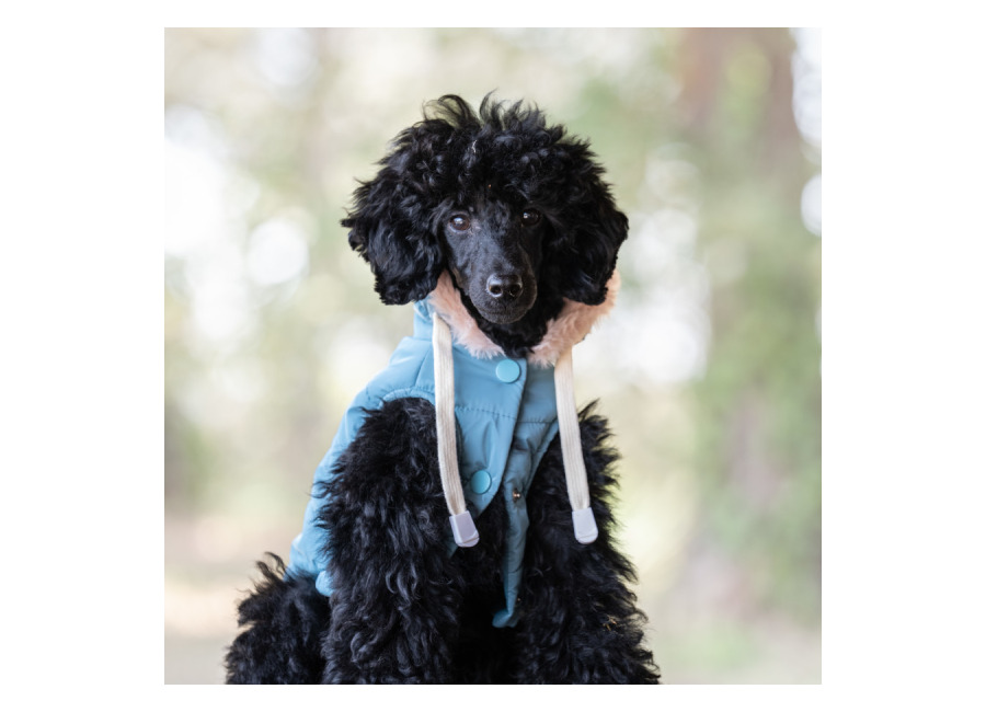 Freedog Abrigo Impermeable Iceguard Azul Cielo para perro