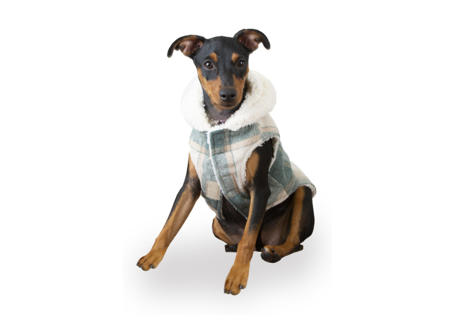 Outech Trenca Azul para perro