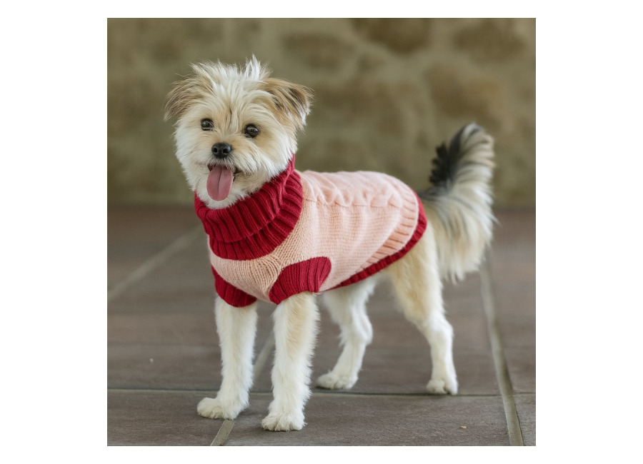 Freedog Jersey Elsinor para perro