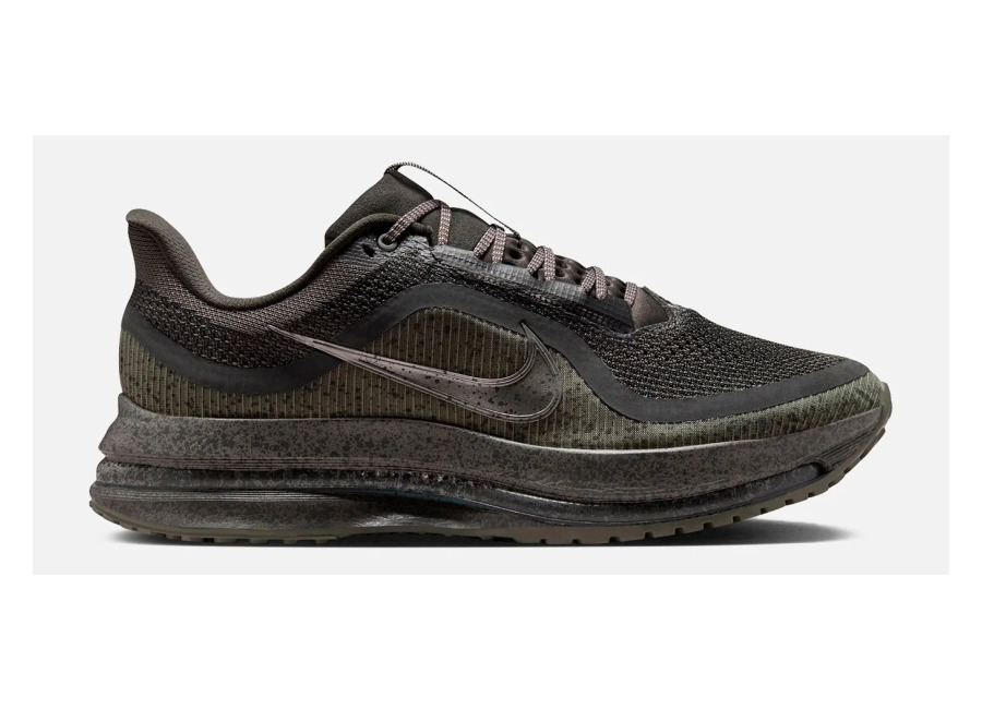Zapatillas Nike Pegasus Premium SP – 36.5