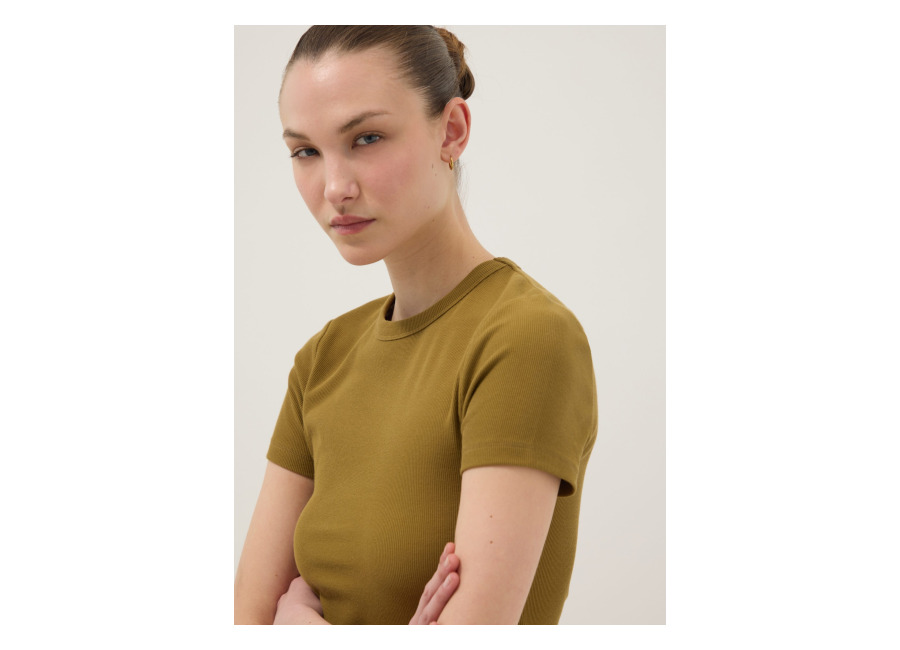 Ovs Camiseta Verde Entallada De Manga Corta En Algodón Elástico, Mujer, Verde musgo, Talla: