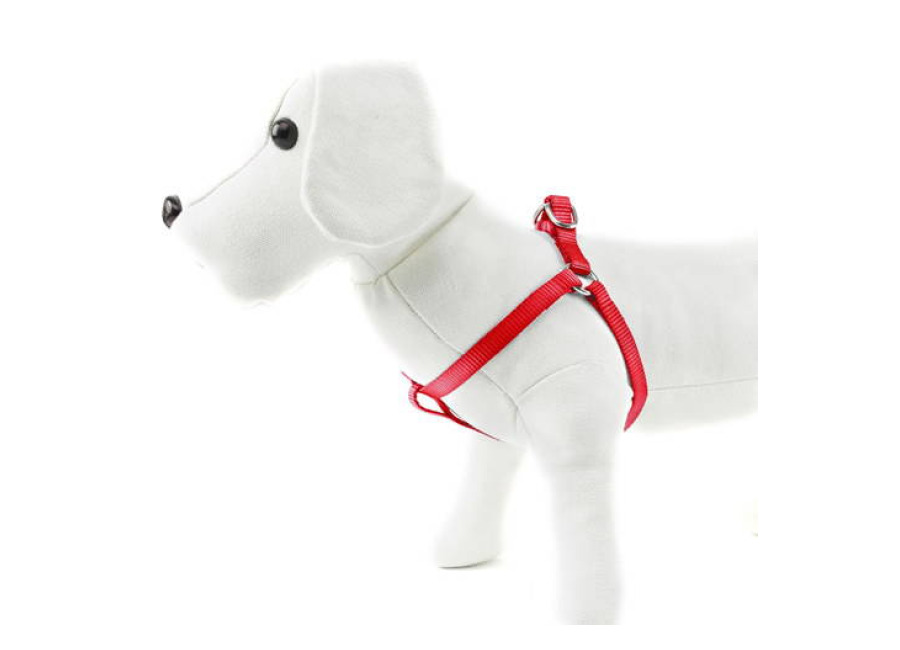 Nayeco Basic Arnés Rojo para perro