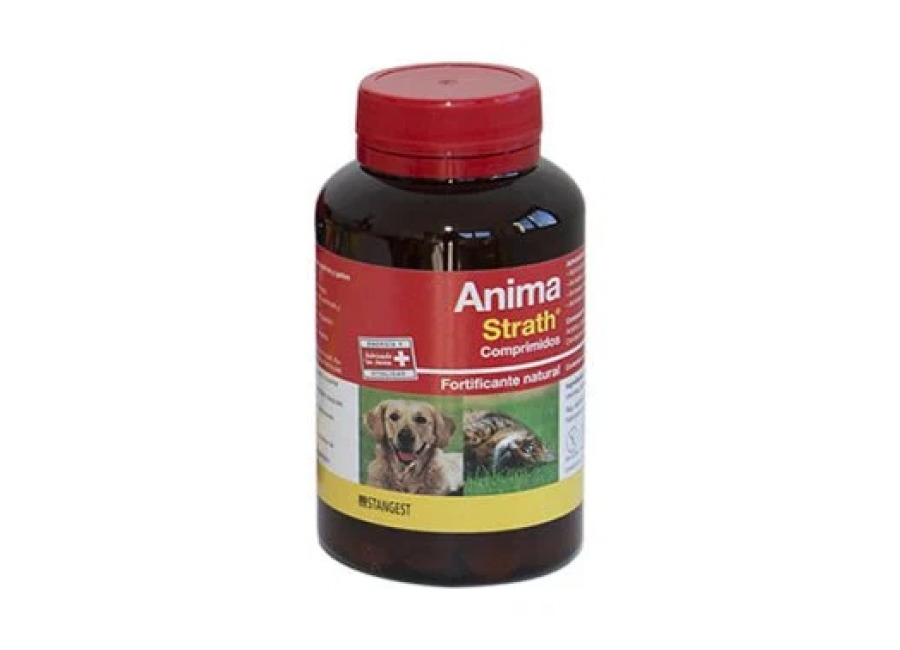 Stangest Anima Strath Suplemento 240 Cpd