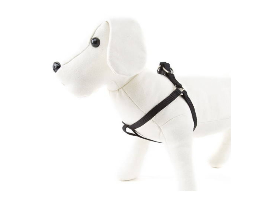 Nayeco Basic Arnés Negro para perro