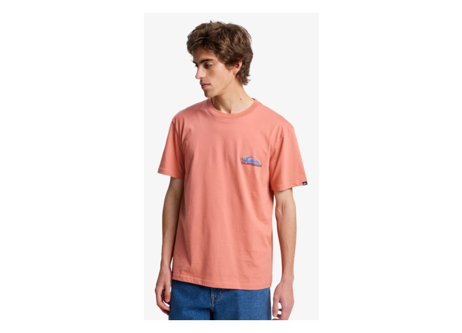 Quiksilver – EV Barrel Paradise – Camiseta de manga corta Rosa Hombre