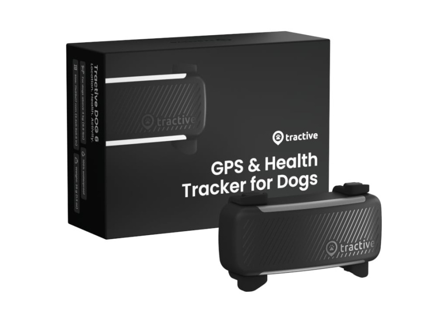 Tractive GPS Dog 6 Negro Rastreador para perro