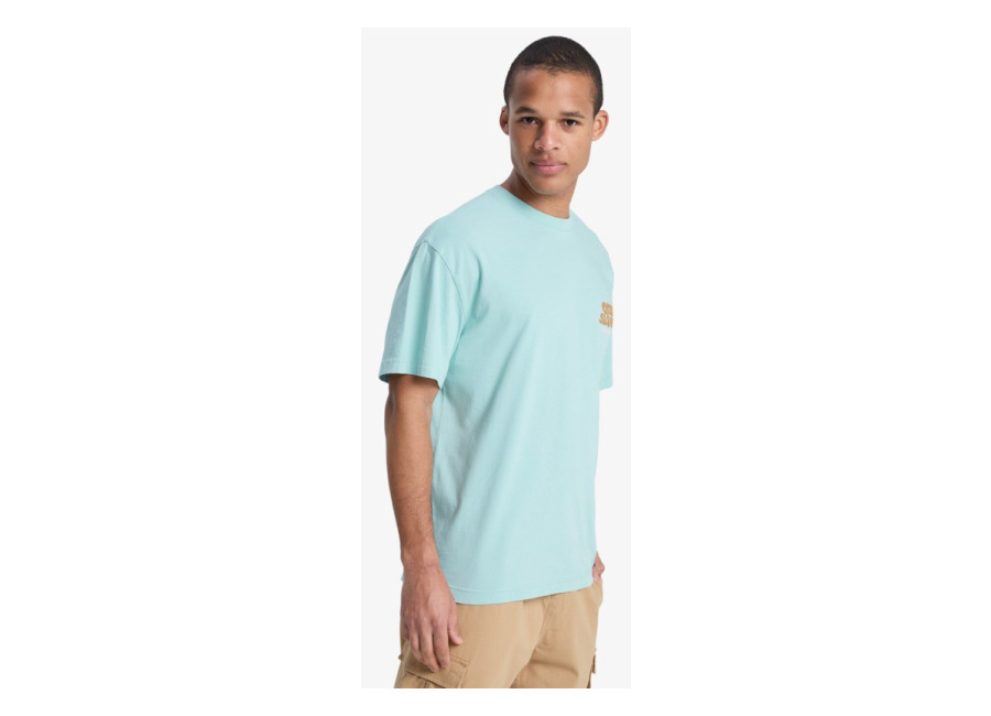 Quiksilver – Fruits Tide – Camiseta de manga corta Azul Hombre