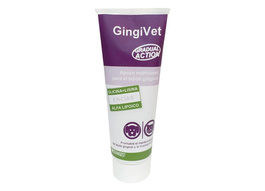 Stangest Gingivet Pasta Salud Dental 100gr
