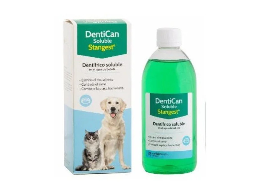 Stangest Dentican Soluble Dentífrico Líquido 250m
