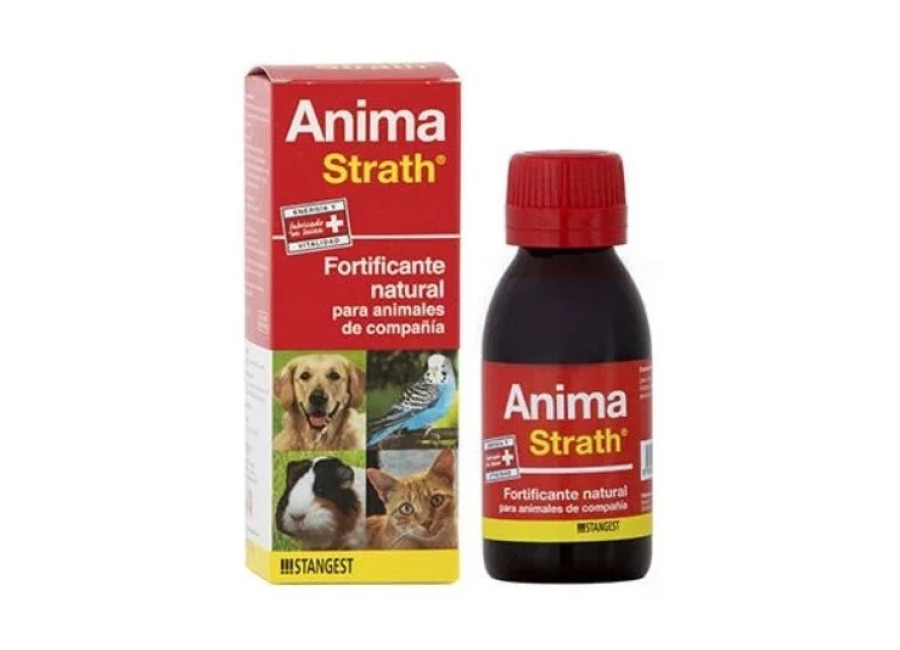 Stangest Anima Strath Suplemento 30m