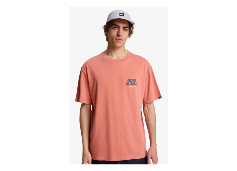 Quiksilver – Fruits Tide – Camiseta de manga corta Rosa Hombre