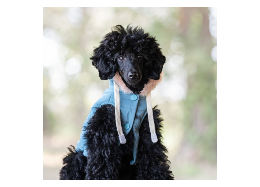 Freedog Abrigo Impermeable Iceguard Azul Cielo para perro