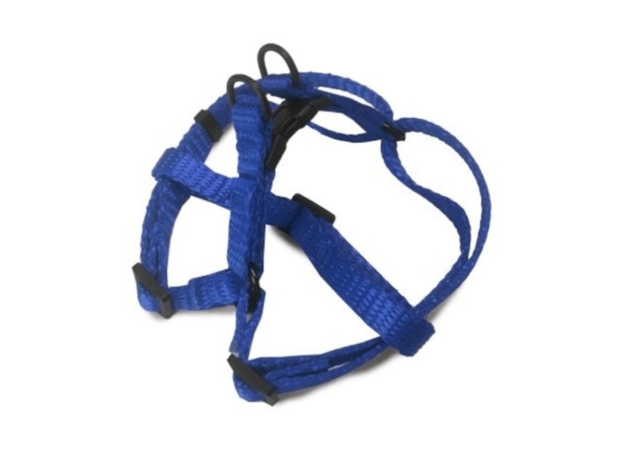 Outech Arnés azul para perro