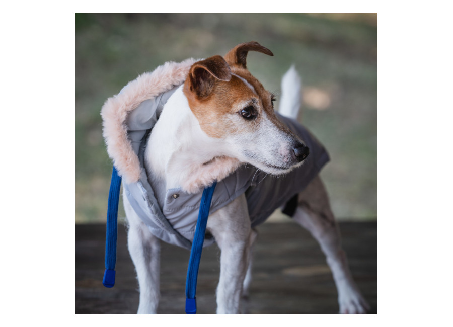Freedog Abrigo Impermeable Iceguard Gris para perro