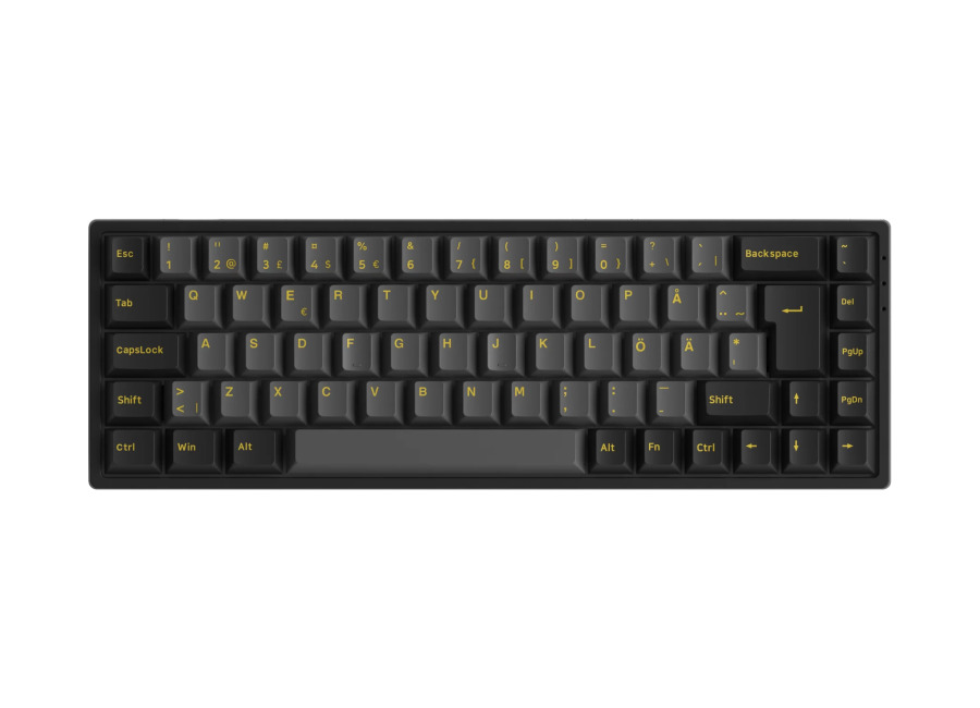 Akko Black & Gold 3068B Plus ISO