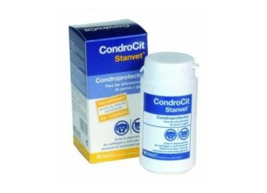 Stangest Condrocit Comprimidos 60 und