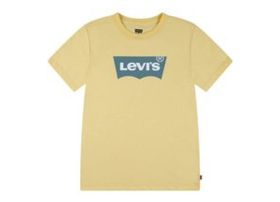 Levis Camiseta Levi’s Lvb Batwing Niño Golden Haze