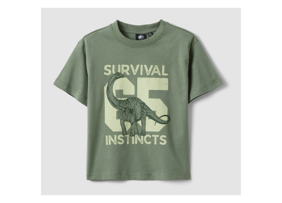 Ovs KIDS Camiseta Verde De Algodón Puro Para Niño Con Ajuste Oversize Y Estampado, Niño, Verde claro, Talla: 6-7